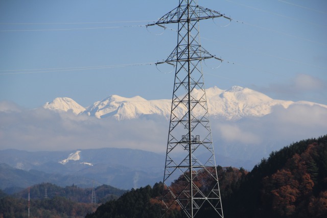 f:id:sakana-tensyu:20171130105657j:plain