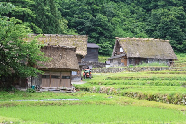 f:id:sakana-tensyu:20180622071237j:plain