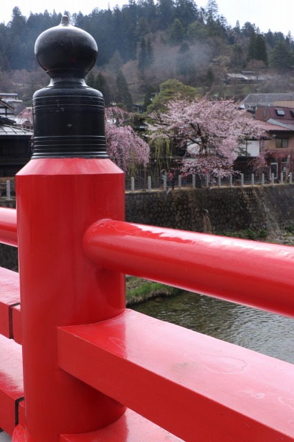 f:id:sakana-tensyu:20190420092618j:plain