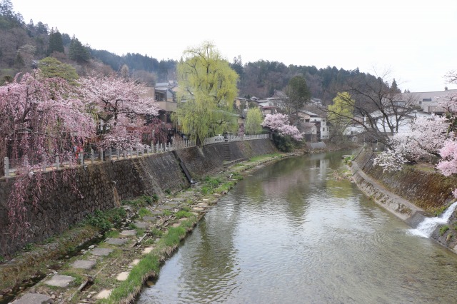 f:id:sakana-tensyu:20190420092640j:plain