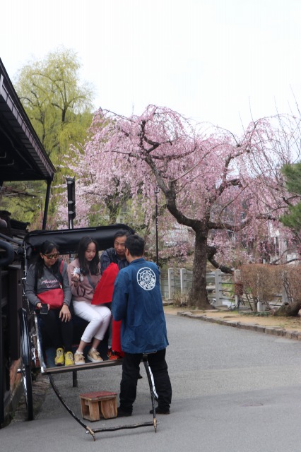 f:id:sakana-tensyu:20190420092655j:plain