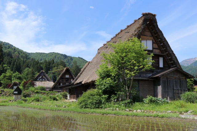 f:id:sakana-tensyu:20190611095913j:plain