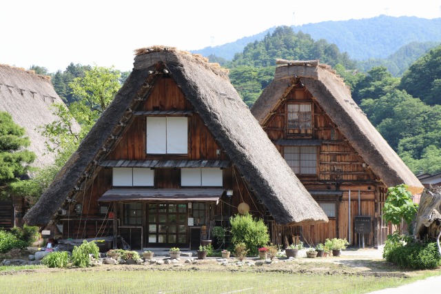 f:id:sakana-tensyu:20190611100030j:plain