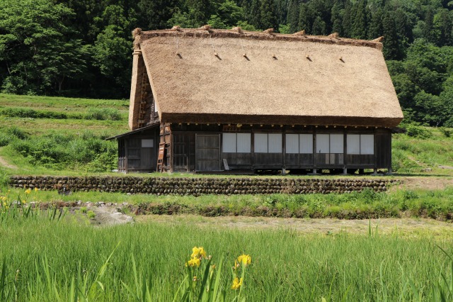 f:id:sakana-tensyu:20190611100124j:plain