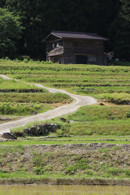 f:id:sakana-tensyu:20190611100229j:plain