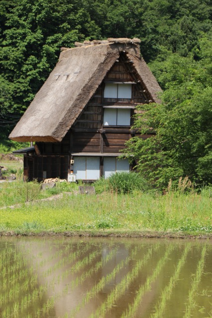 f:id:sakana-tensyu:20190611100249j:plain