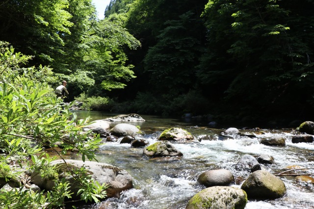 f:id:sakana-tensyu:20190626201509j:plain