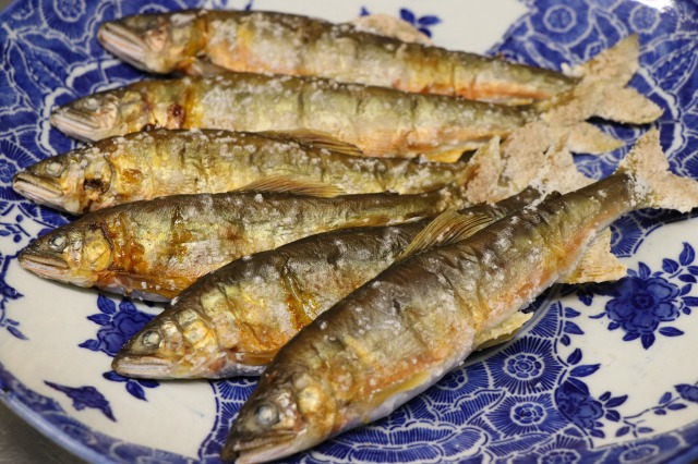 夏限定！【川魚料理堪能コース】とても好評です！！ - 飛騨季節