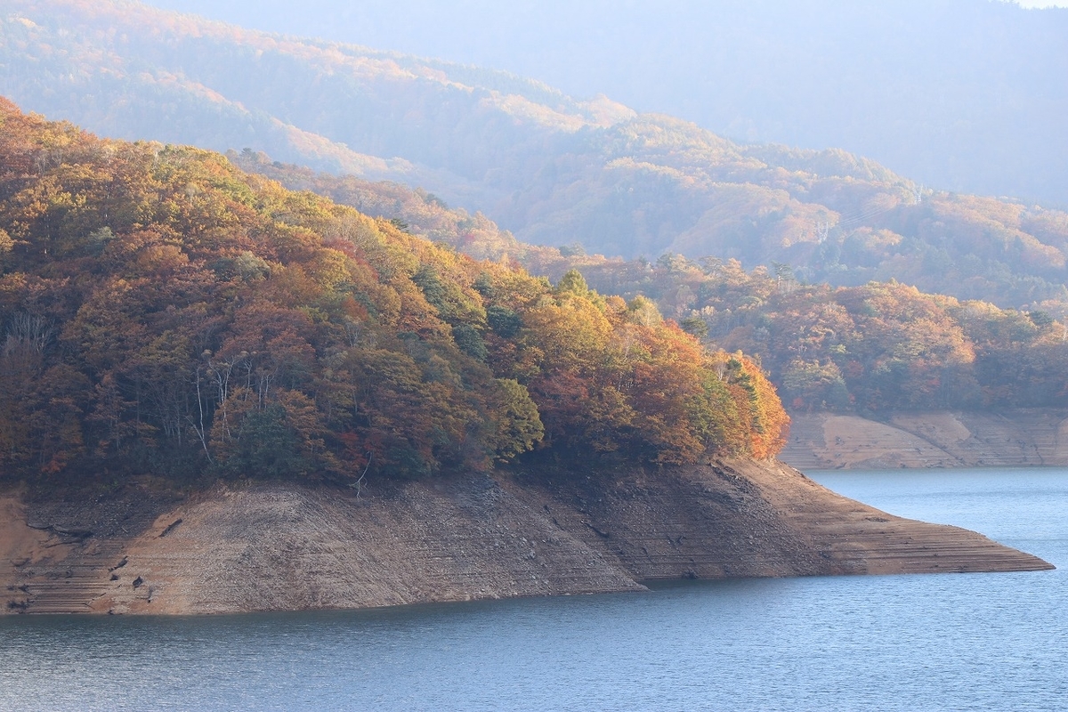 f:id:sakana-tensyu:20201030091618j:plain