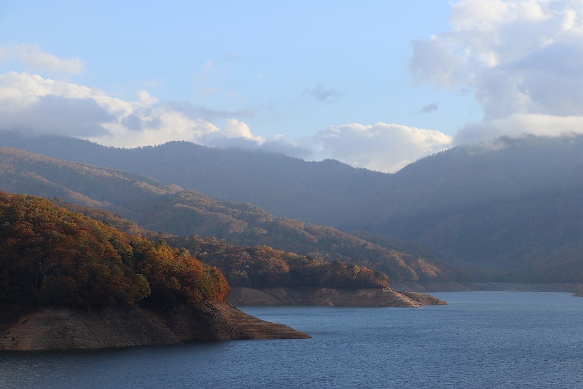 f:id:sakana-tensyu:20201030091629j:plain