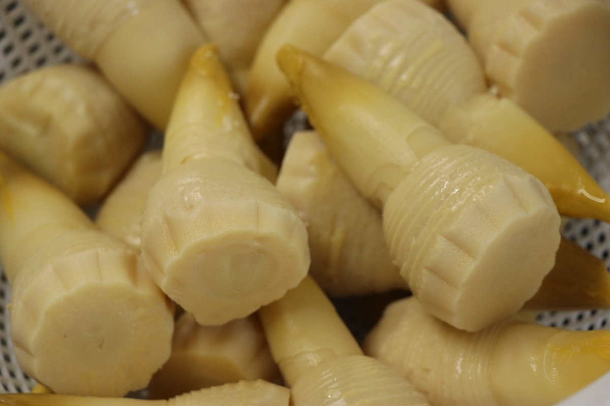 f:id:sakana-tensyu:20201230161452j:plain