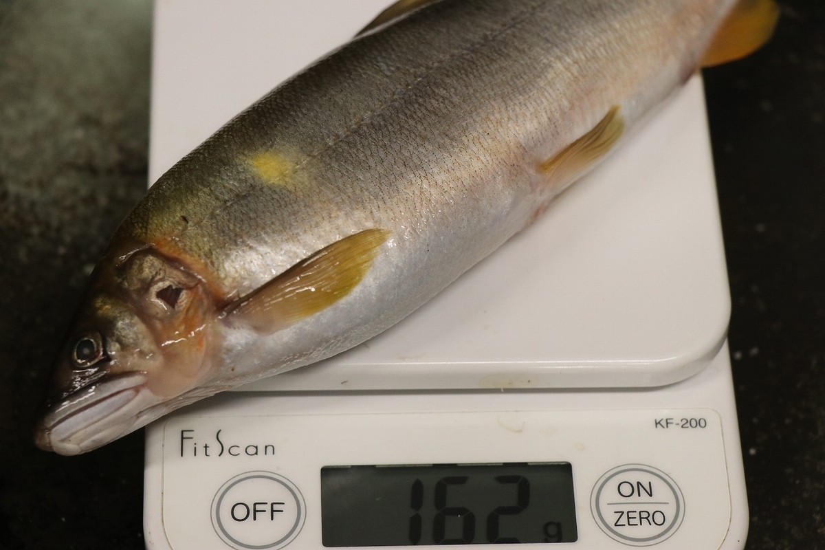 肴の川魚料理 干し鮎 飛騨季節料理 肴店主の日記