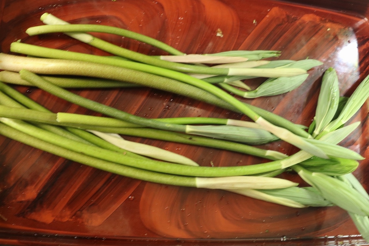 肴の山菜料理【』オオナルコユリ・シオデ】 - 飛騨季節料理 肴