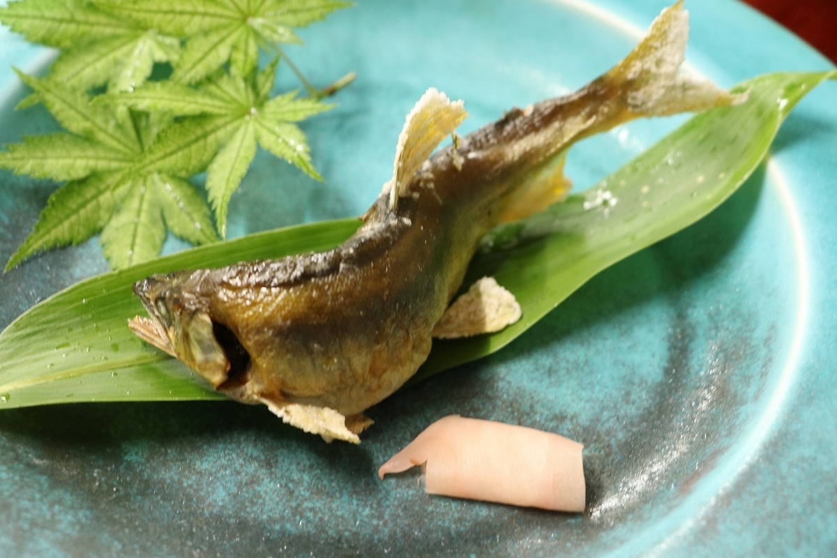 肴の川魚料理【夏限定！川魚堪能コース】 - 飛騨季節料理 肴店主