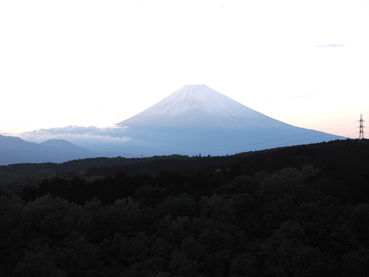 f:id:sakana139:20190526105049j:plain f:id:sakana139:20190526105049j:plain