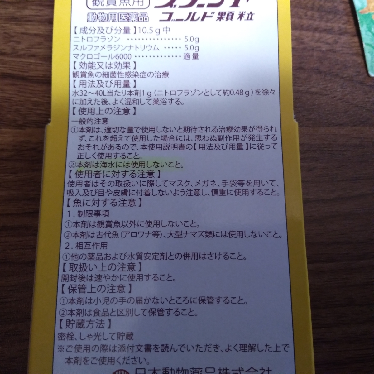 ベタの尾ヒレに血玉 治るまでの過程 さかなのきもち