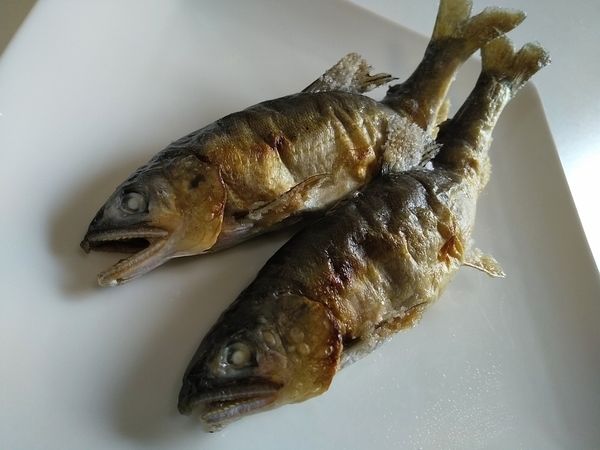 鮎 年魚 香魚 をいただきました 能登 七尾のさかなのブログ