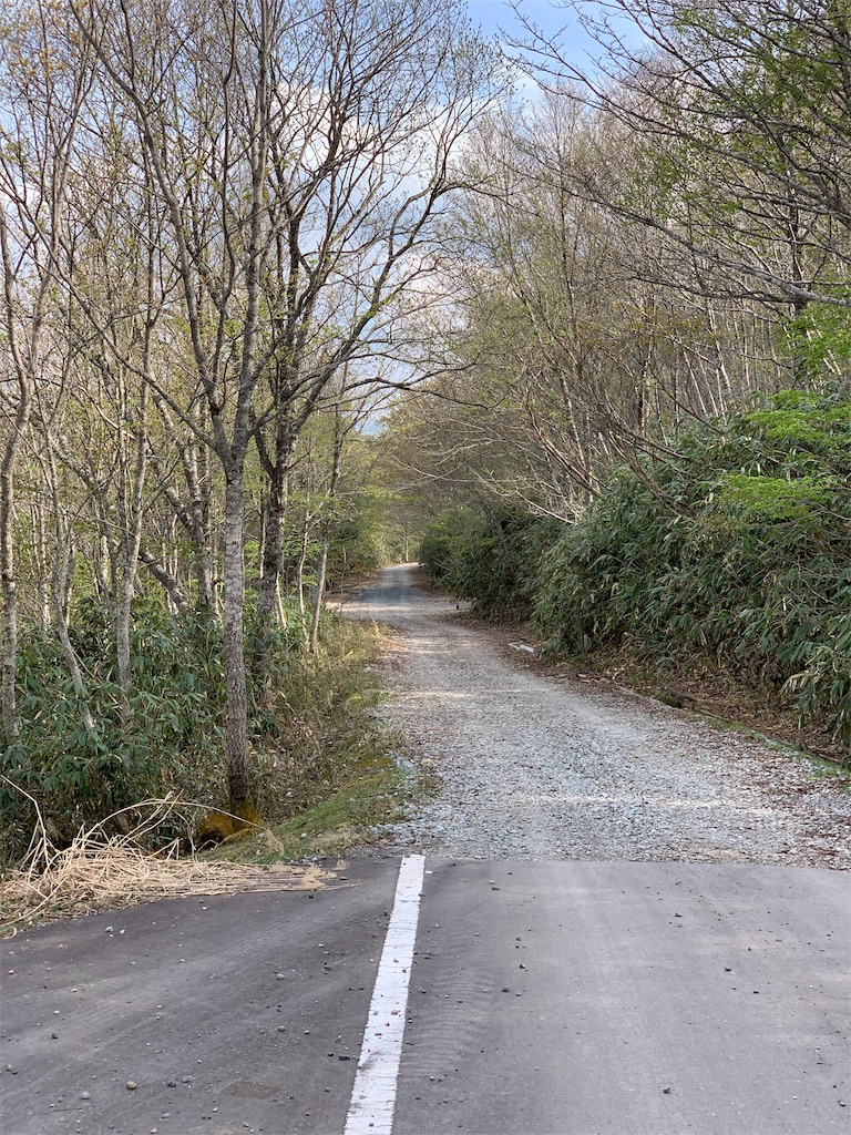 f:id:sakana78:20190510210257j:image