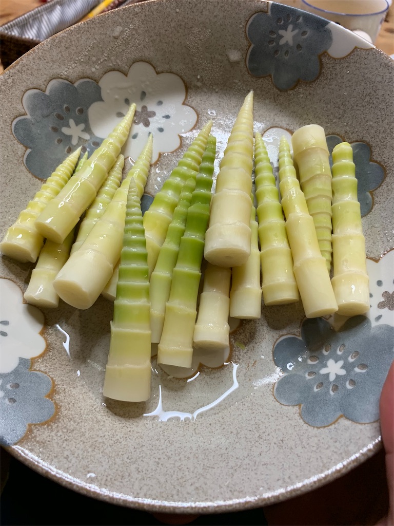 f:id:sakana78:20190510210408j:image