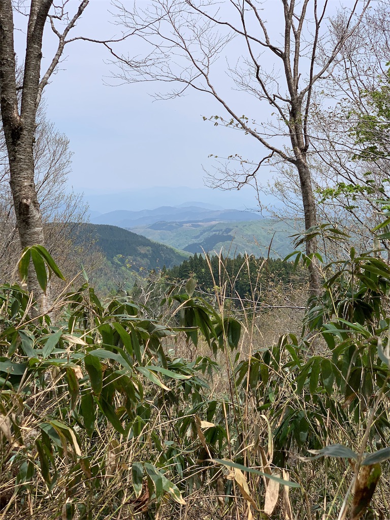 f:id:sakana78:20190510210421j:image