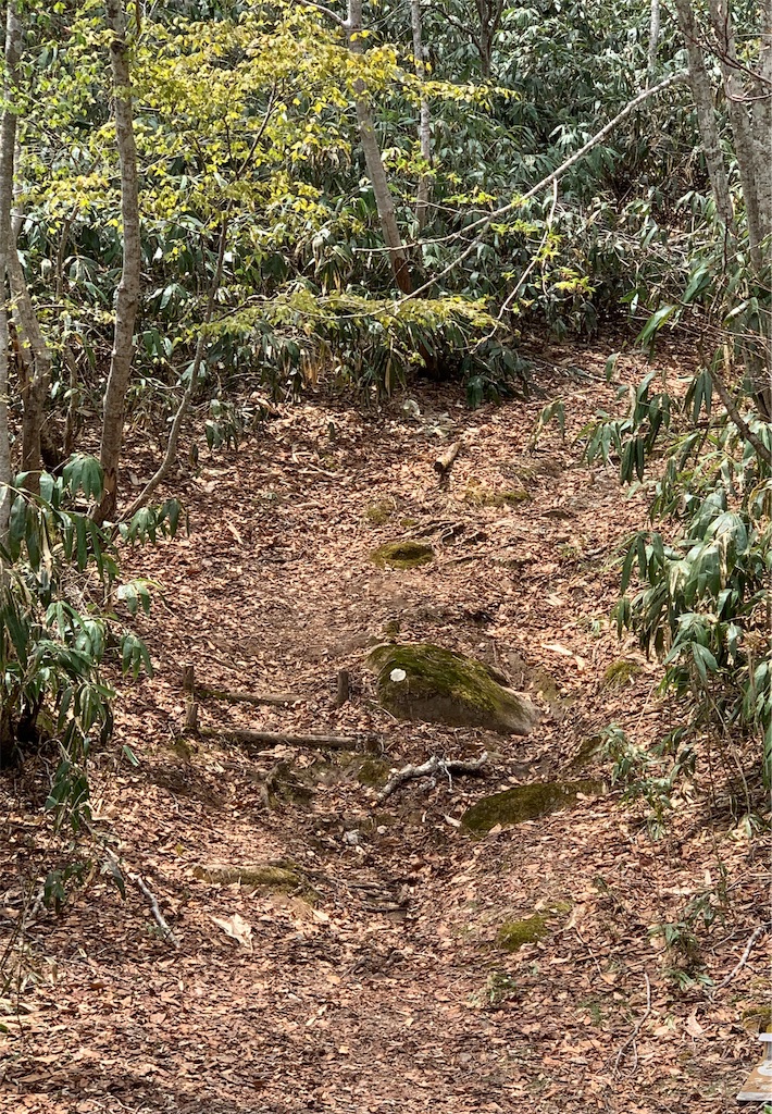 f:id:sakana78:20190510211904j:image