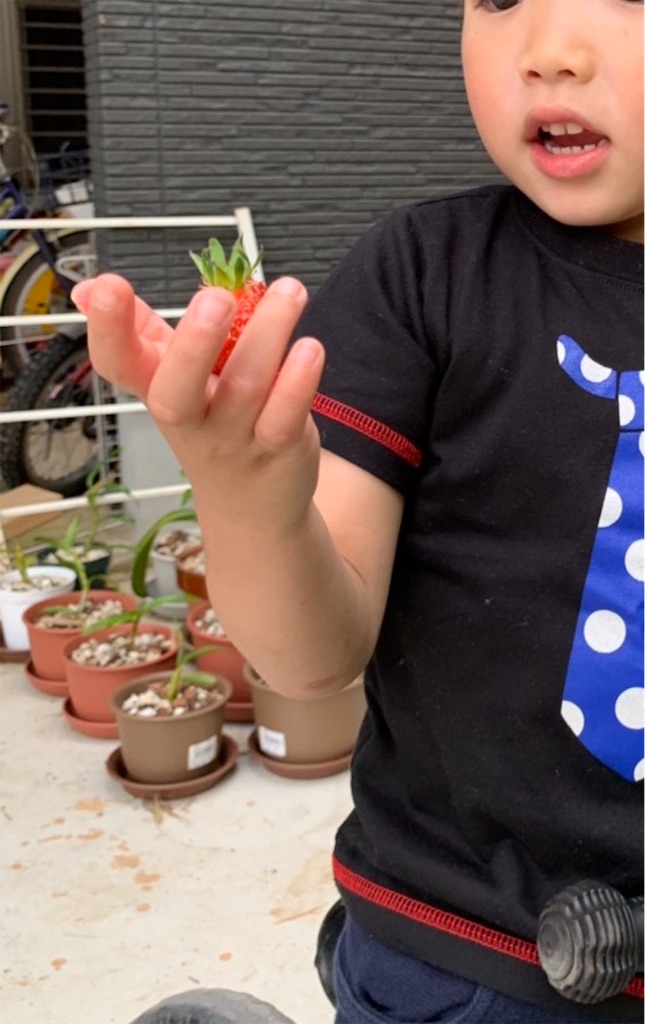 f:id:sakana78:20190518211853j:image