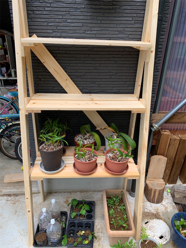 f:id:sakana78:20190523193923j:image f:id:sakana78:20190523193923j:image
