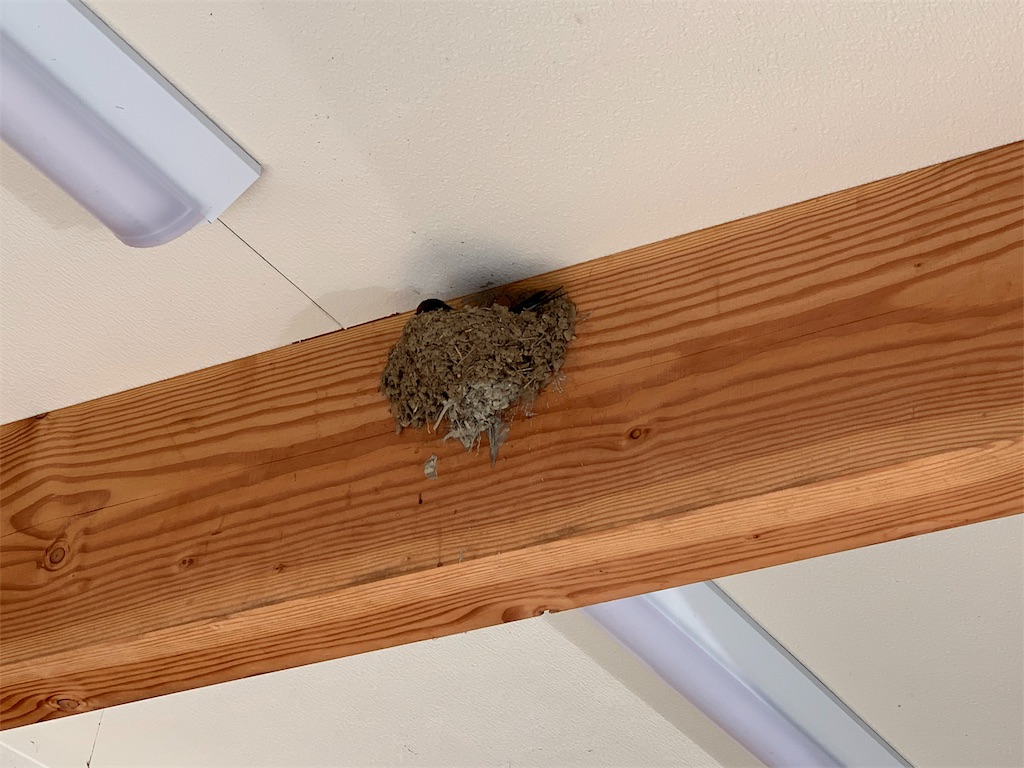 f:id:sakana78:20190524103414j:image f:id:sakana78:20190524103414j:image