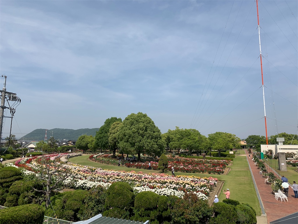 f:id:sakana78:20190525211430j:image