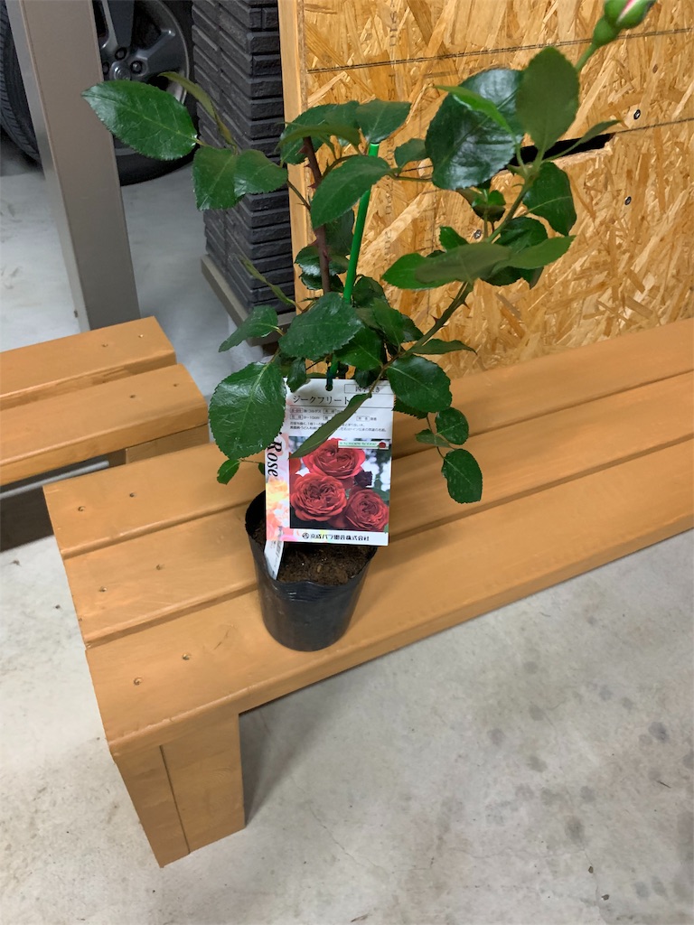 f:id:sakana78:20190531220835j:image