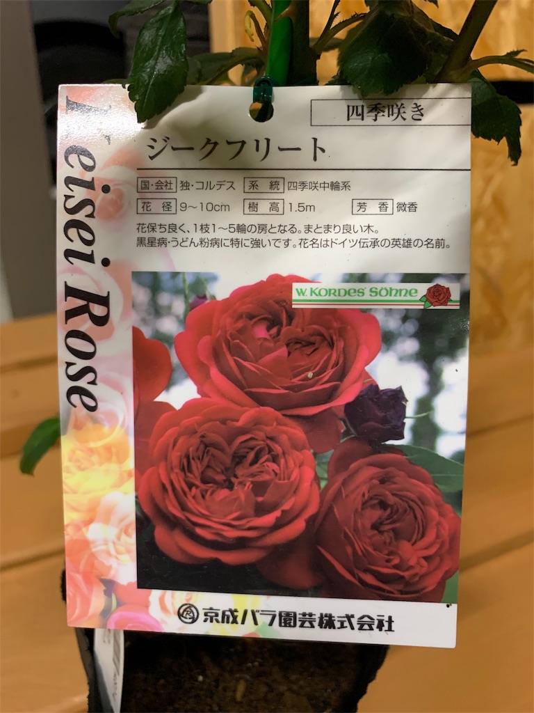 f:id:sakana78:20190531221514j:image
