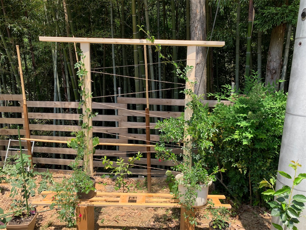 f:id:sakana78:20190606131408j:image