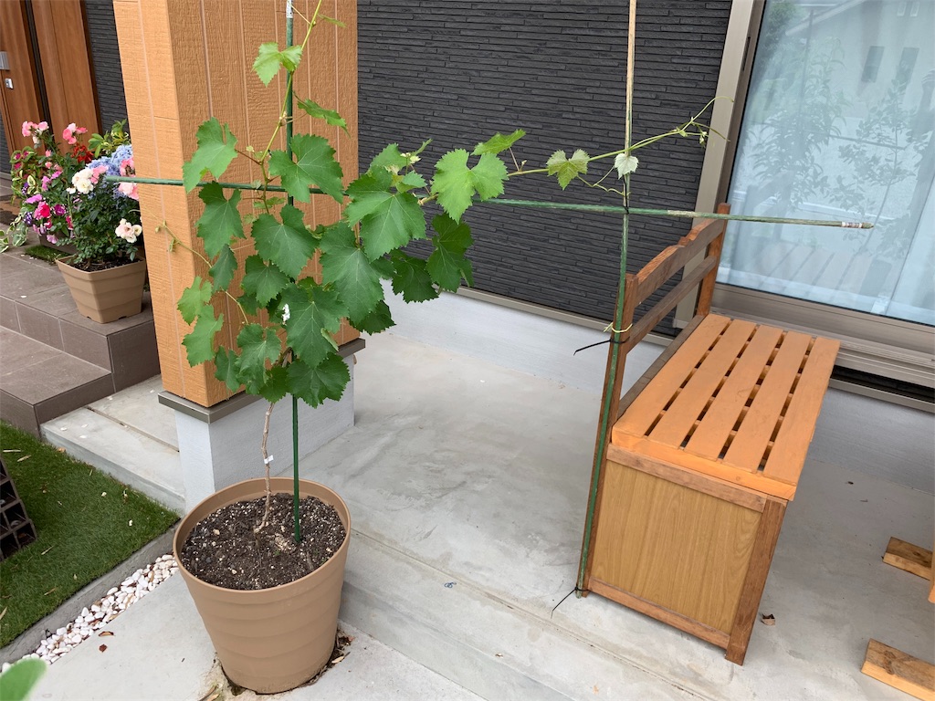 f:id:sakana78:20190607150041j:image