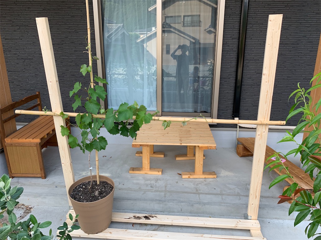 f:id:sakana78:20190607150105j:image