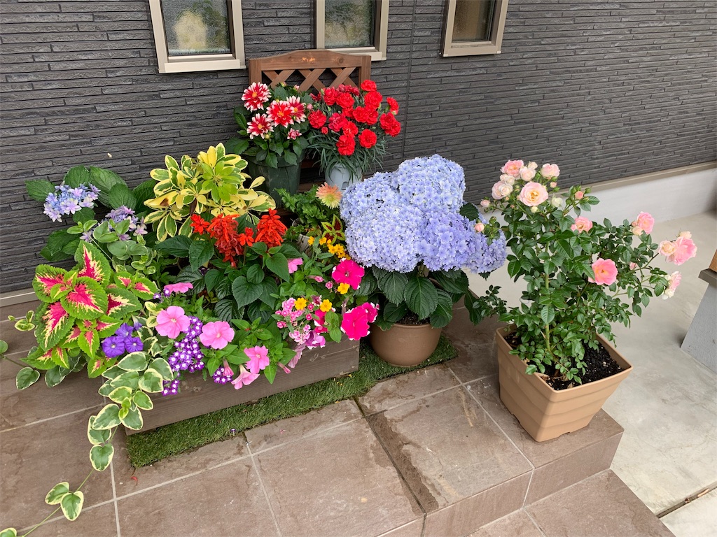 f:id:sakana78:20190616133722j:image