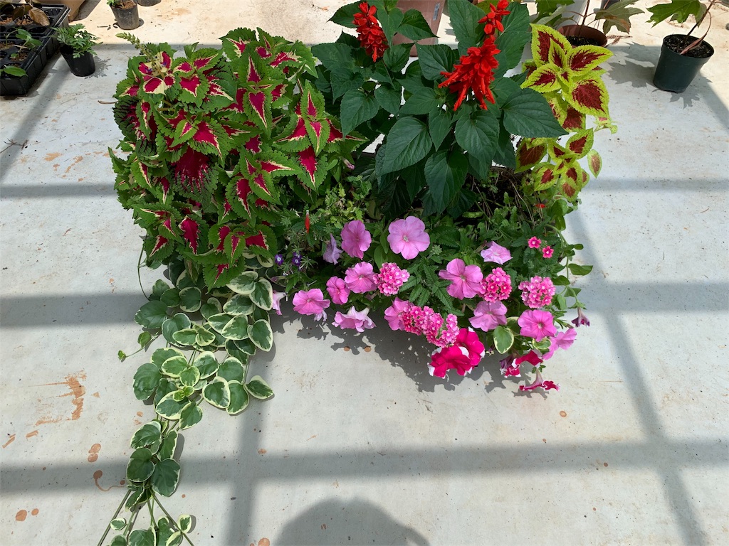 f:id:sakana78:20190705184309j:image f:id:sakana78:20190705184309j:image