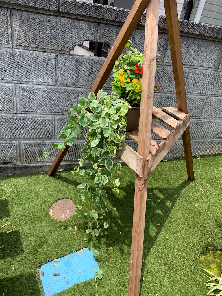 f:id:sakana78:20190705193327j:image f:id:sakana78:20190705193327j:image