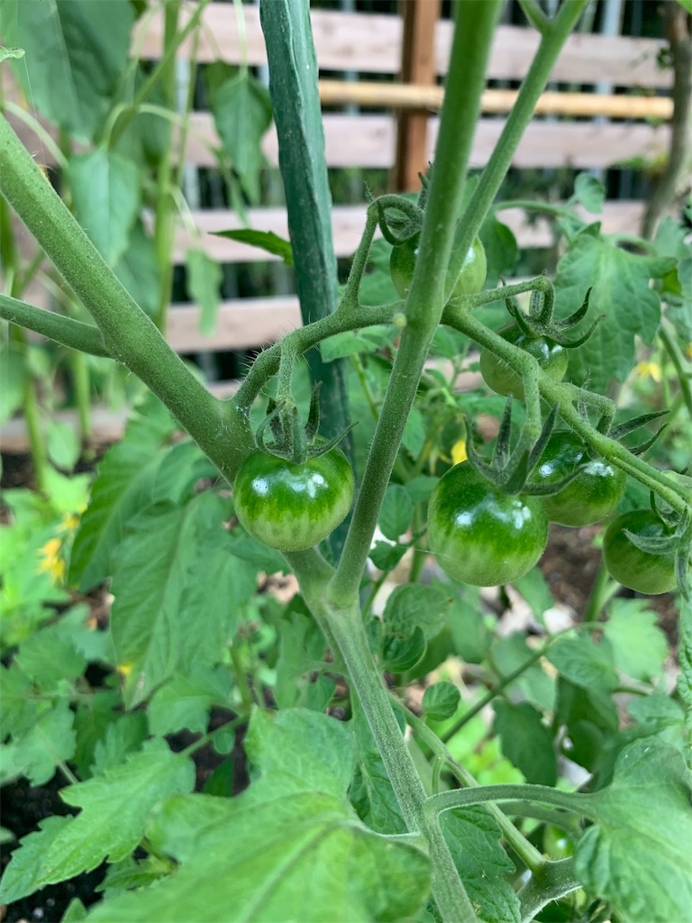 f:id:sakana78:20190708220942j:image f:id:sakana78:20190708220942j:image