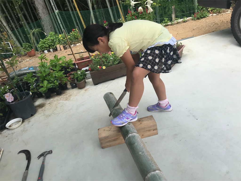 f:id:sakana78:20190720133006j:image
