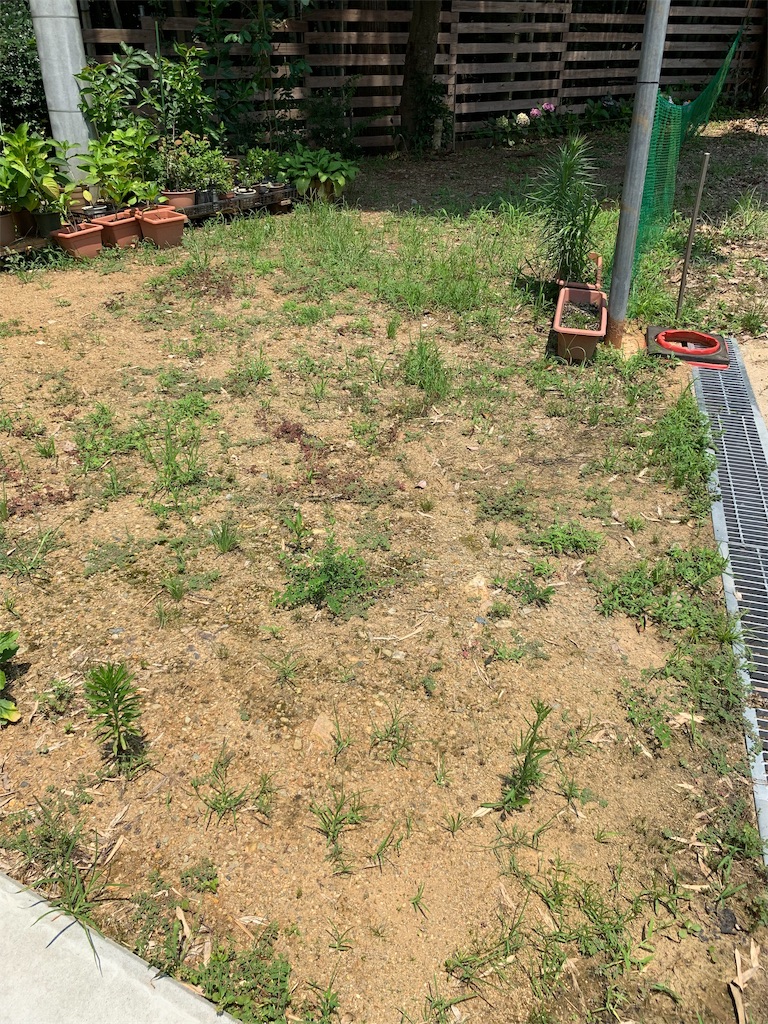 f:id:sakana78:20190730122957j:image