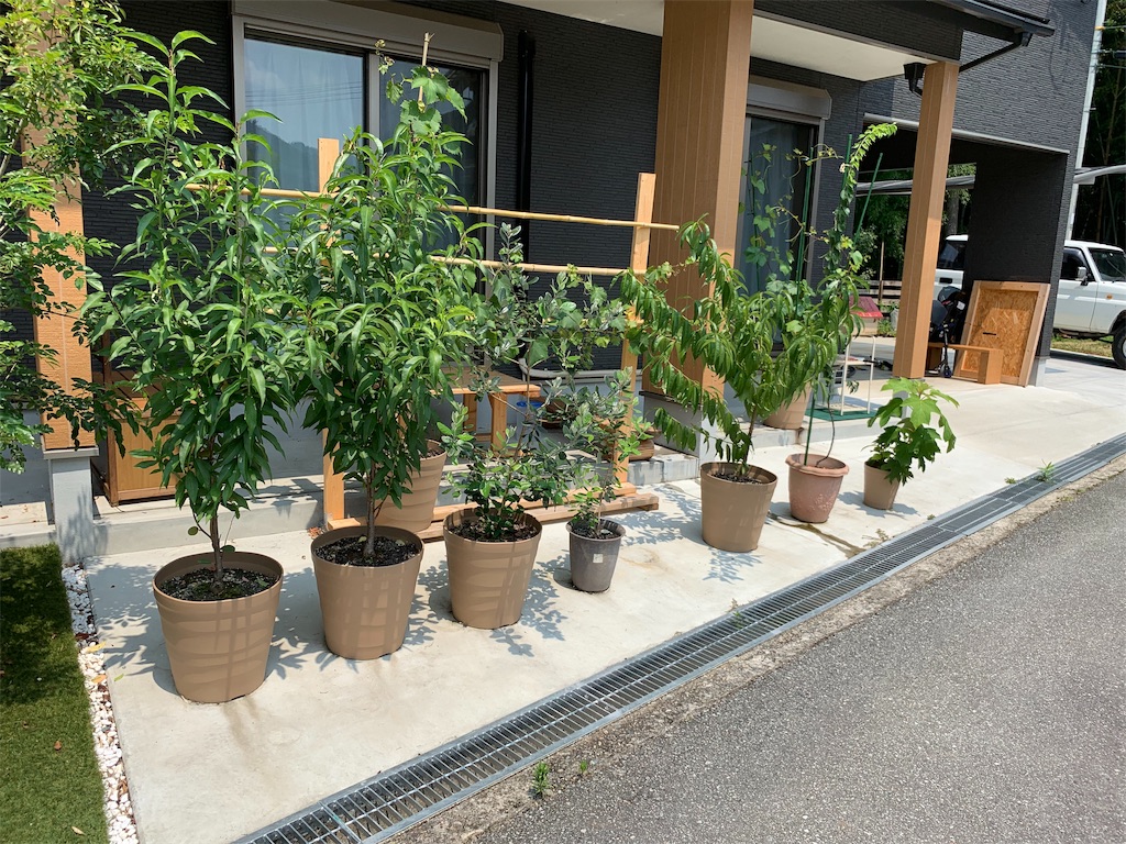f:id:sakana78:20190805071110j:image