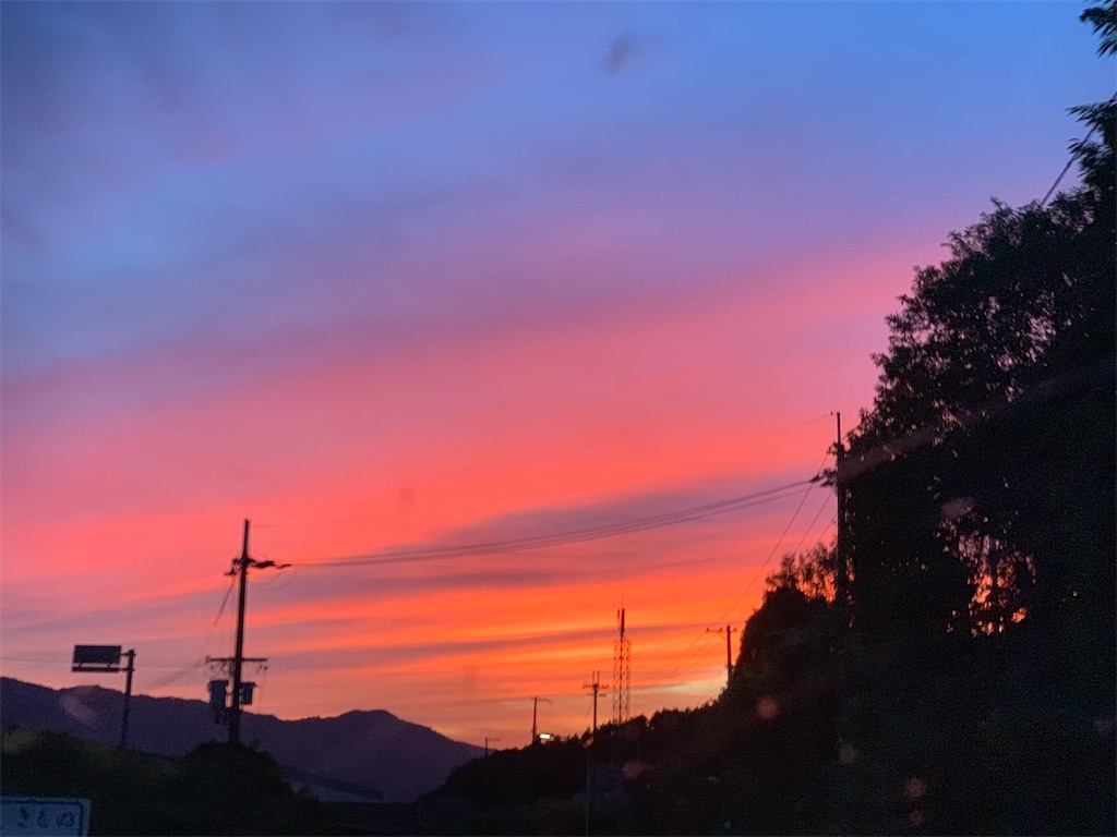 f:id:sakana78:20190810133850j:image f:id:sakana78:20190810133850j:image