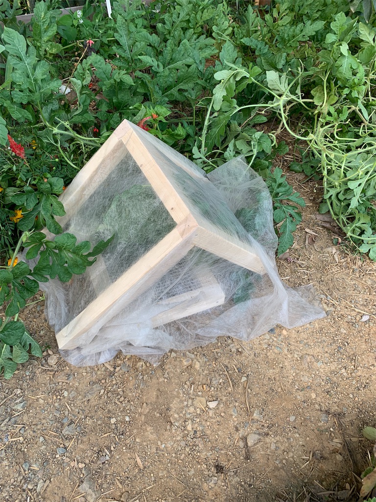 f:id:sakana78:20190813183410j:image