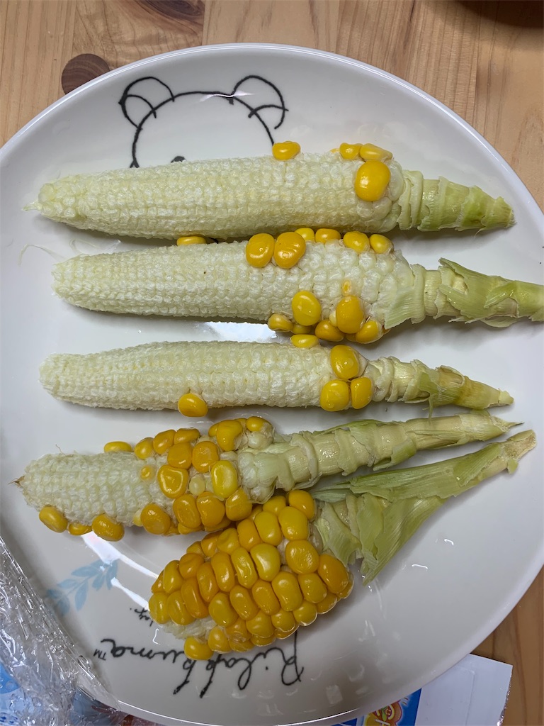 f:id:sakana78:20190821092709j:image