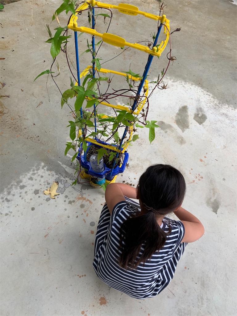 f:id:sakana78:20190829214258j:image