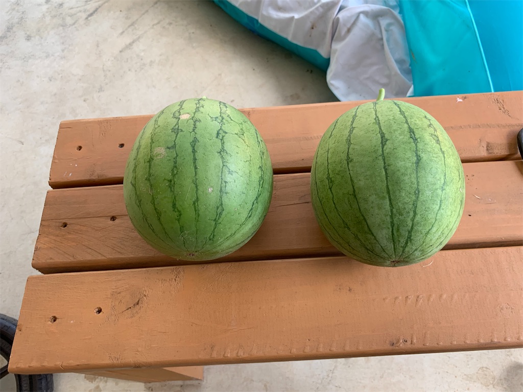 f:id:sakana78:20190906143624j:image f:id:sakana78:20190906143624j:image