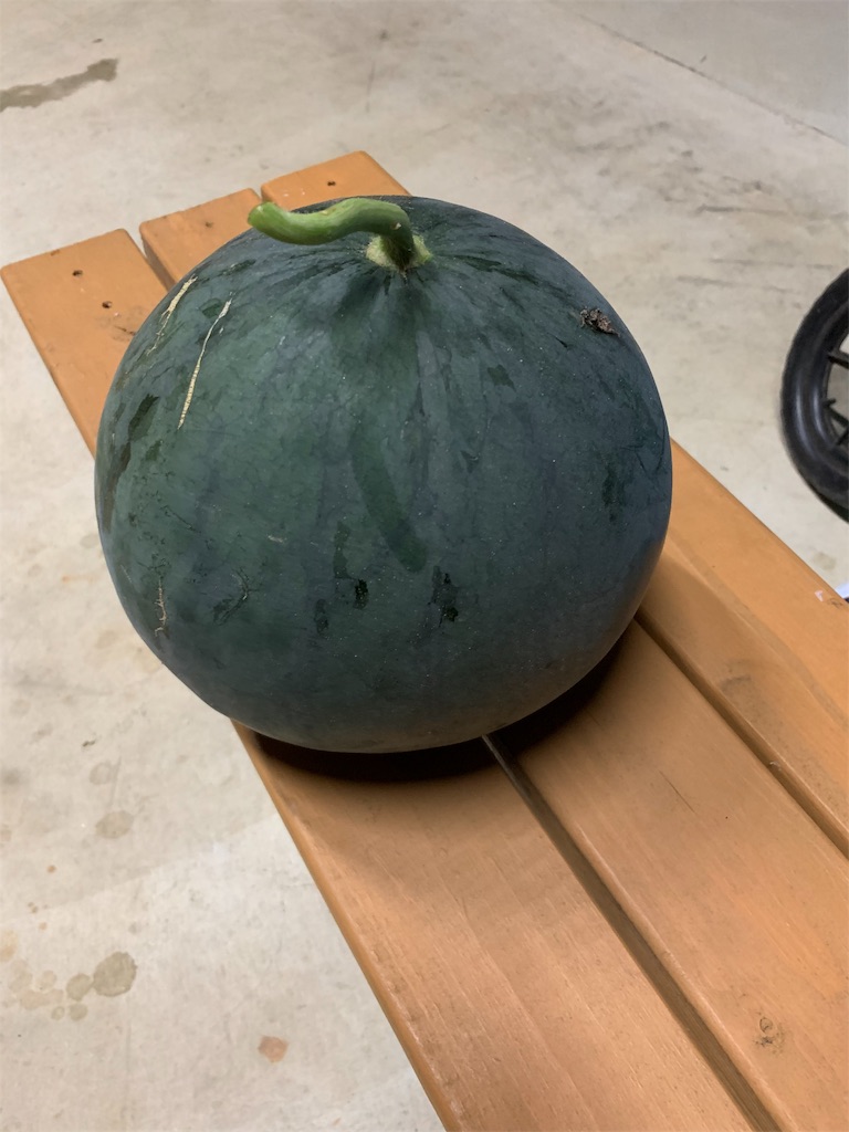 f:id:sakana78:20190910185857j:image