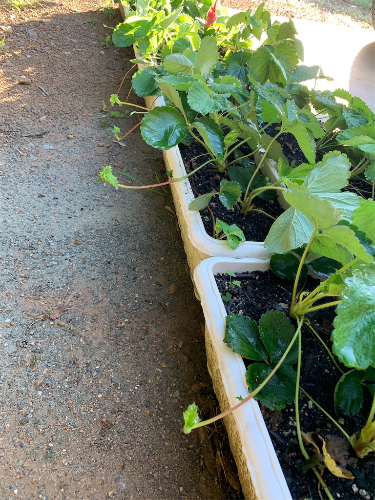 f:id:sakana78:20190915173011j:image f:id:sakana78:20190915173011j:image