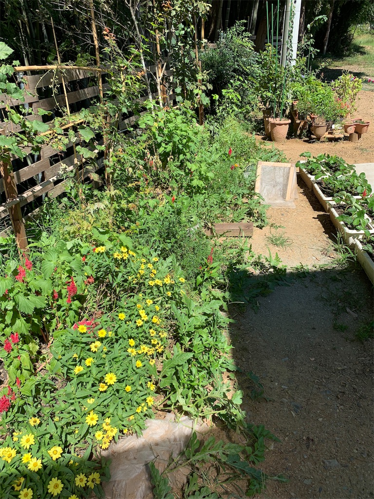 f:id:sakana78:20190917195428j:image f:id:sakana78:20190917195428j:image