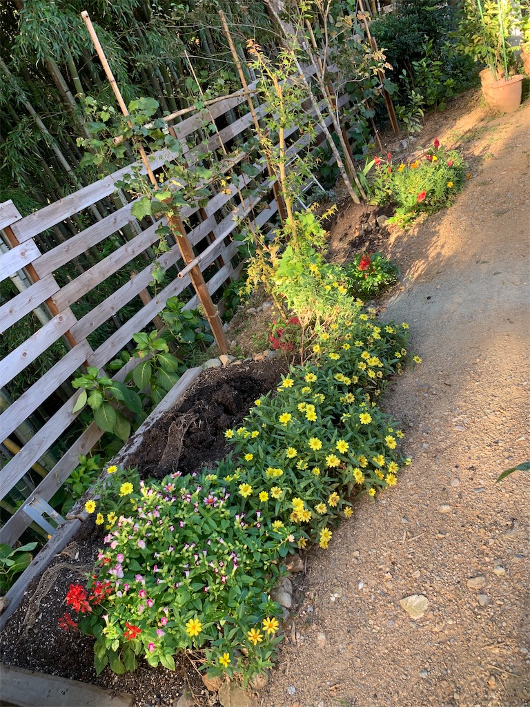 f:id:sakana78:20190917195445j:image f:id:sakana78:20190917195445j:image